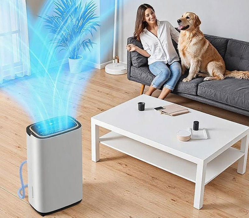 Manastin Dehumidifiers: Optimal Home Humidity Control