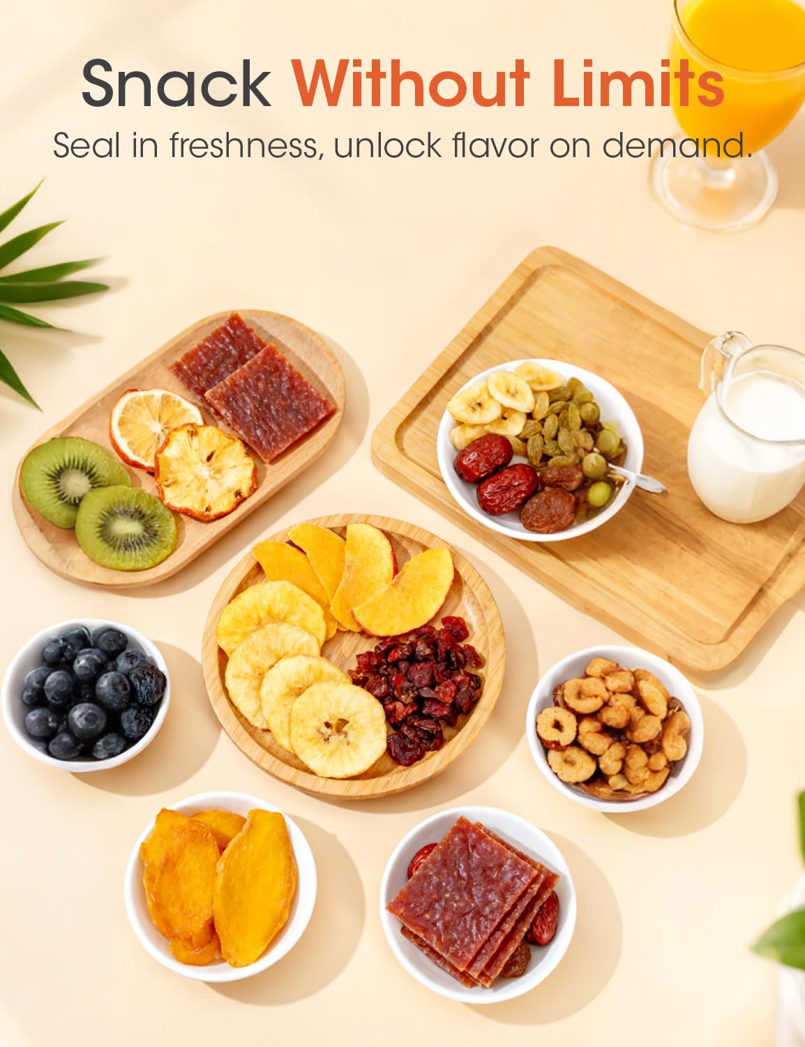 Food Dehydrator Machine MD25