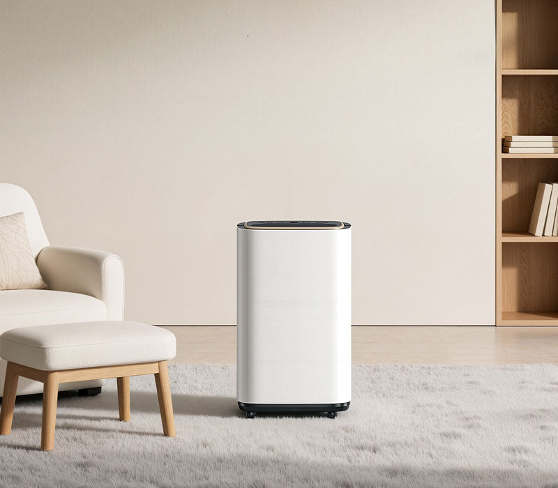 Effective Ways to Dehumidify Your Room: A Complete Guide