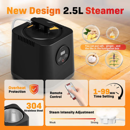 Portable Steam Sauna SNA25