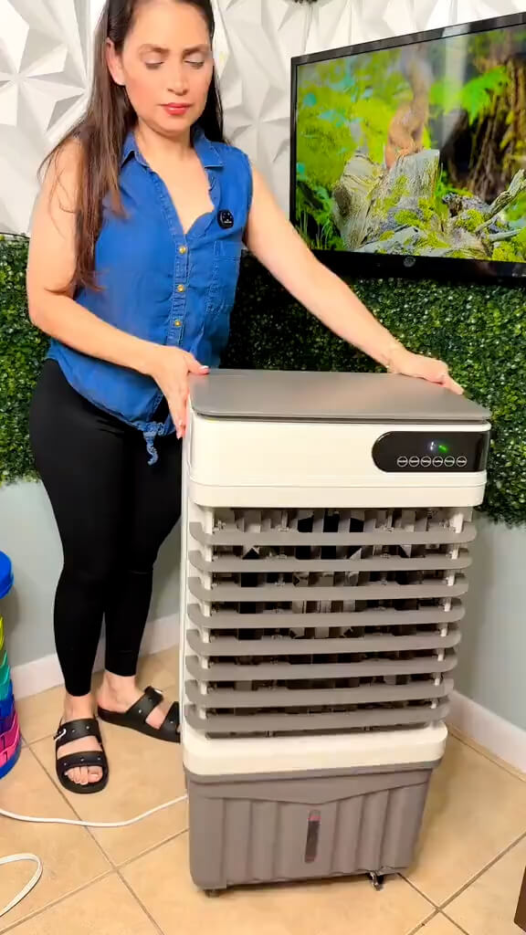 Video poster